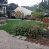 Artificial Grass Carpet Black Hawk, Colorado City Landscape, Small Front Yard Landscaping