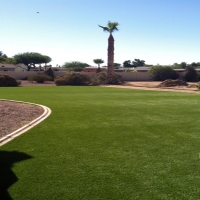 Artificial Grass Carpet Coal Creek, Colorado Backyard Playground, Backyard