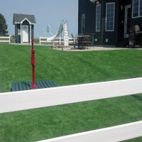 Artificial Grass Carpet Crested Butte, Colorado Landscape Ideas, Front Yard Landscape Ideas