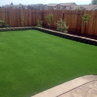 Artificial Grass Carpet Ponderosa Park, Colorado Landscaping Business, Backyard