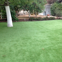 Artificial Grass Carpet Stonewall Gap, Colorado Lawn And Garden, Backyard Landscaping