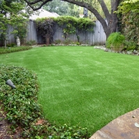 Artificial Grass Genoa, Colorado Landscape Rock, Backyard Garden Ideas