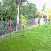 Artificial Grass Howard, Colorado Roof Top, Backyard