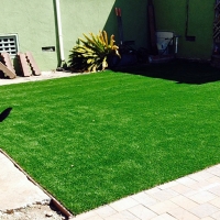 Artificial Grass Orchard City, Colorado Indoor Dog Park, Backyard Designs