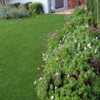 Artificial Grass Twin Lakes, Colorado City Landscape, Front Yard Landscaping