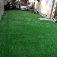 Artificial Grass Wiggins, Colorado Lawns, Backyard