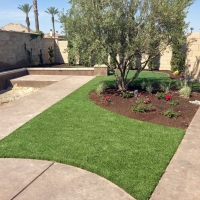 Artificial Lawn Kiowa, Colorado Landscaping Business, Front Yard Ideas