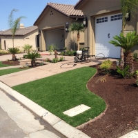 Artificial Lawn Wiggins, Colorado Garden Ideas, Front Yard Ideas