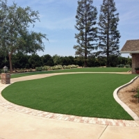 Artificial Lawn Wiley, Colorado Lawn And Garden, Front Yard Ideas