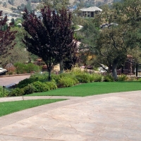 Artificial Turf Berkley, Colorado Gardeners, Landscaping Ideas For Front Yard