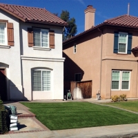 Artificial Turf Canon City, Colorado Rooftop, Front Yard Ideas