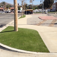 Artificial Turf Cost Boulder, Colorado Home And Garden, Commercial Landscape