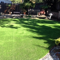 Artificial Turf Crestone, Colorado Pet Paradise, Backyard Landscaping