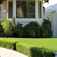 Artificial Turf Ken Caryl, Colorado City Landscape, Front Yard Landscaping