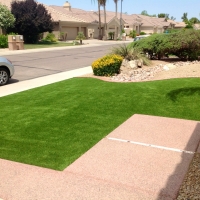 Artificial Turf Lakeside, Colorado City Landscape, Front Yard Landscaping