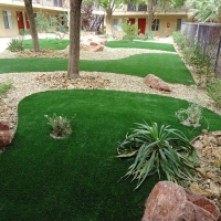 Artificial Turf Mount Crested Butte, Colorado Landscaping Business, Commercial Landscape