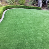 Artificial Turf Walsenburg, Colorado Lawn And Landscape, Backyard