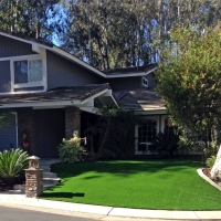 Best Artificial Grass Hugo, Colorado Landscape Ideas, Landscaping Ideas For Front Yard