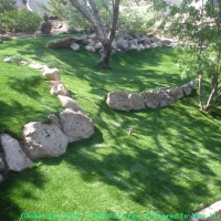 Fake Grass Berkley, Colorado Landscape Ideas, Commercial Landscape