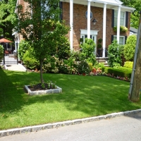 Fake Grass Carpet Merino, Colorado Roof Top, Small Front Yard Landscaping