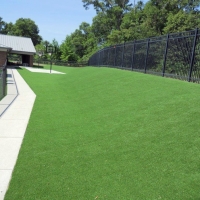 Fake Grass Carpet Ramah, Colorado Landscape Rock, Commercial Landscape