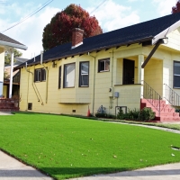 Fake Grass Carpet Saguache, Colorado Rooftop, Front Yard Landscape Ideas