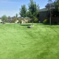 Fake Grass Johnstown, Colorado Gardeners, Recreational Areas