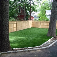 Fake Grass Paonia, Colorado Home And Garden, Backyard Garden Ideas