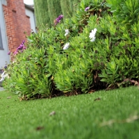 Fake Grass Simla, Colorado Rooftop, Small Front Yard Landscaping