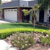 Fake Lawn Basalt, Colorado Lawn And Landscape, Landscaping Ideas For Front Yard