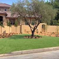 Fake Lawn Cascade-Chipita Park, Colorado Design Ideas, Front Yard