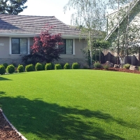 Fake Lawn Dillon, Colorado Gardeners, Front Yard Landscaping Ideas