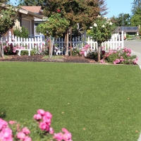 Fake Lawn Dolores, Colorado Rooftop, Small Front Yard Landscaping