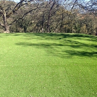 Fake Lawn Iliff, Colorado City Landscape, Parks