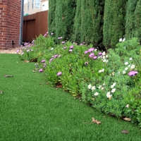 Fake Lawn Walden, Colorado Backyard Playground, Front Yard Design