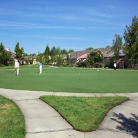 Fake Turf Aguilar, Colorado Design Ideas, Commercial Landscape