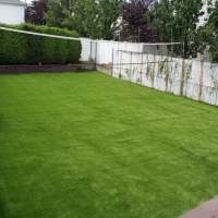 Fake Turf Hillrose, Colorado Design Ideas, Backyard