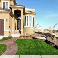 Fake Turf Louviers, Colorado Landscaping, Front Yard Ideas