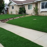 Fake Turf Manassa, Colorado Landscape Design, Front Yard Landscaping Ideas