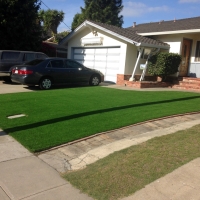 Fake Turf Morrison, Colorado Landscape Design, Front Yard Ideas