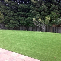 Fake Turf Towaoc, Colorado City Landscape, Backyard Makeover