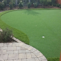 Faux Grass Franktown, Colorado Roof Top, Backyard Landscape Ideas