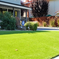 Faux Grass Glendale, Colorado Lawn And Landscape, Front Yard Landscaping Ideas