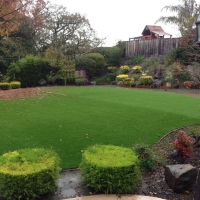 Grass Carpet Aspen Park, Colorado Landscaping Business, Backyard Ideas