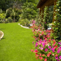 Grass Carpet Delta, Colorado City Landscape, Backyard Makeover