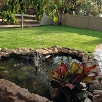 Grass Carpet Fort Carson, Colorado Roof Top, Backyard Garden Ideas