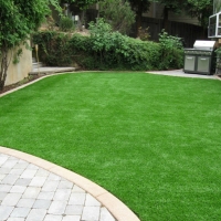 Grass Carpet Loveland, Colorado Paver Patio