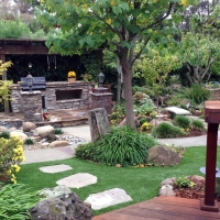 Grass Carpet Niwot, Colorado Gardeners, Backyard Landscaping Ideas