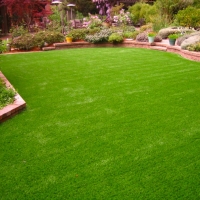 Grass Carpet Sanford, Colorado Lawns, Backyard Designs