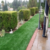 Grass Carpet Starkville, Colorado Rooftop, Backyard Landscaping